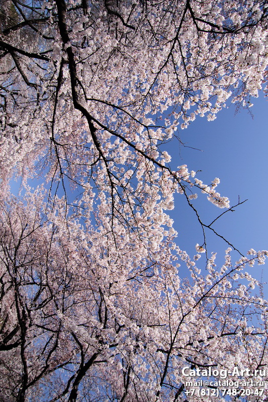 Blossom tree 103